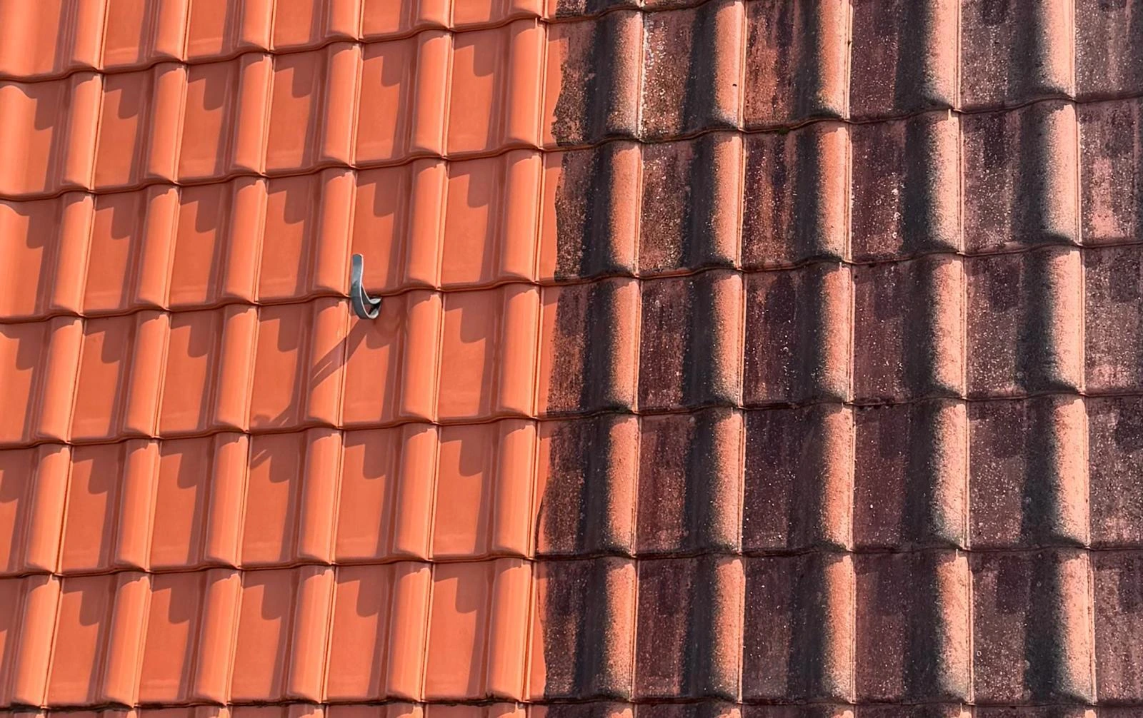 Roof Cleaning